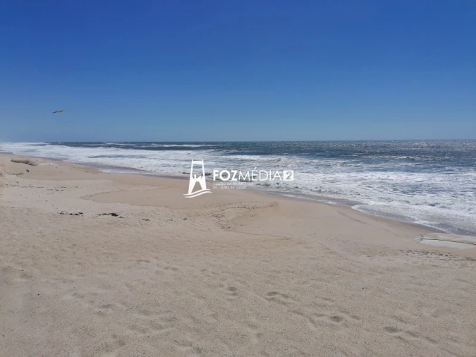 Apartamento T2 para Venda em São Pedro Foto 26