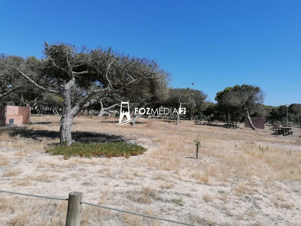 Apartamento T2 para Venda em São Pedro Foto 6