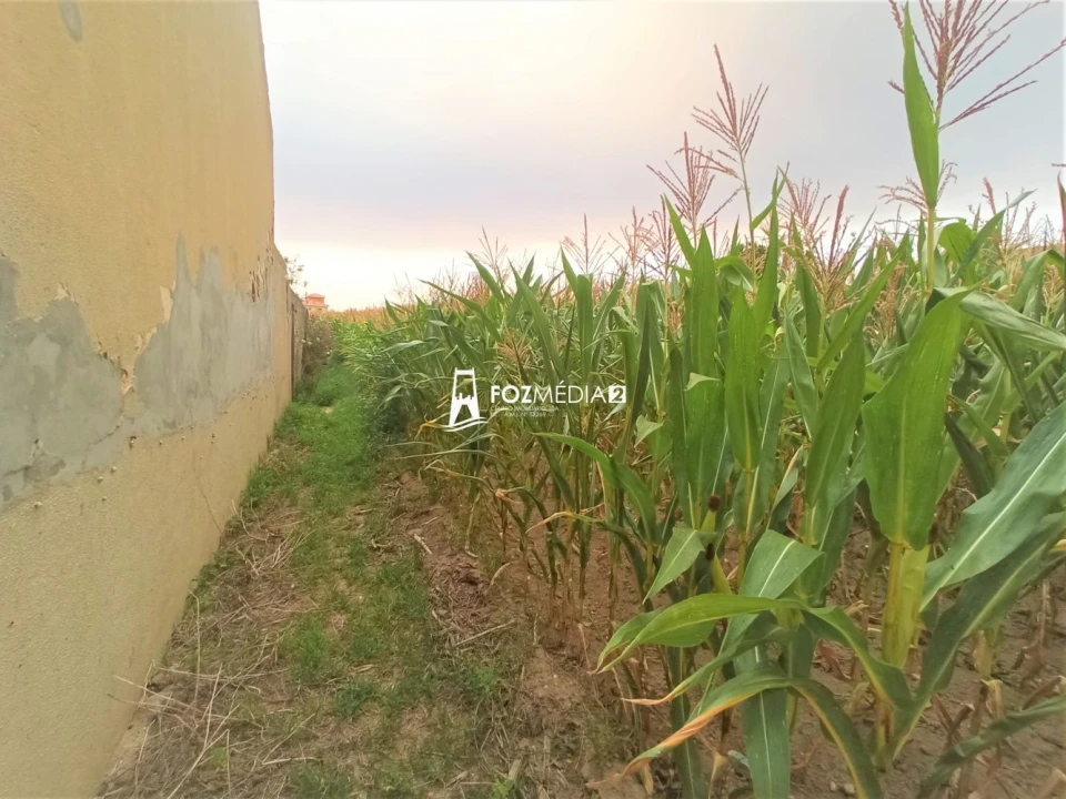 Moradia T2 para Venda em Alhadas Foto 19