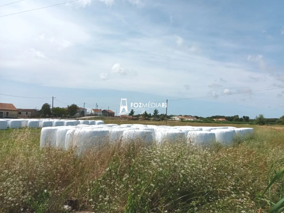 Terreno para Venda em Buarcos Foto 2
