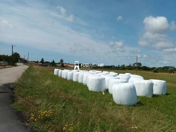 Terreno para Venda em Buarcos Foto 4
