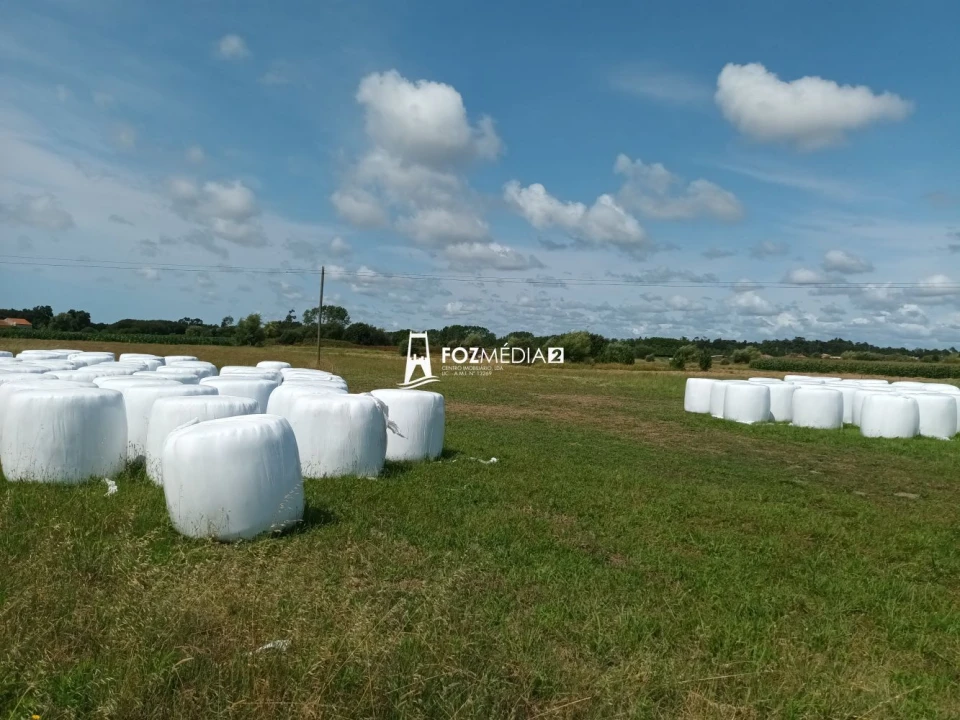Terreno para Venda em Buarcos Foto 5