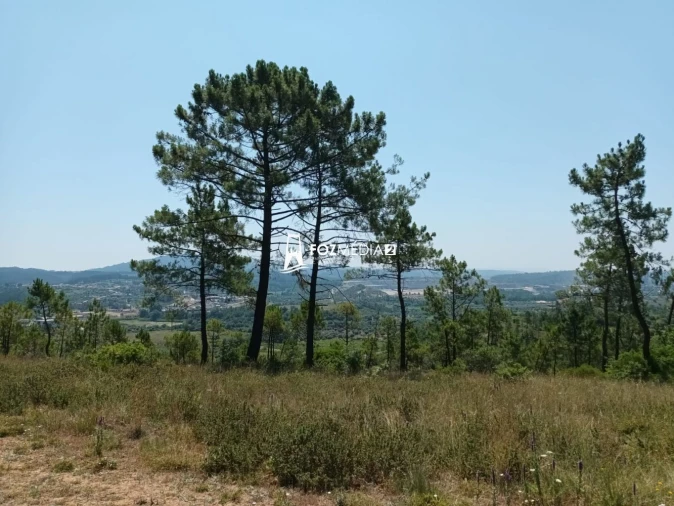 Terreno para Venda em Trouxemil e Torre de Vilela Foto 2