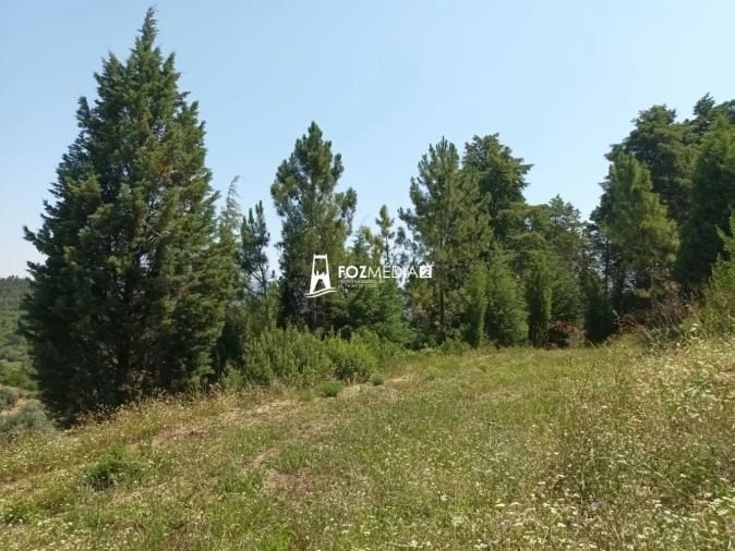 Terreno para Venda em Trouxemil e Torre de Vilela