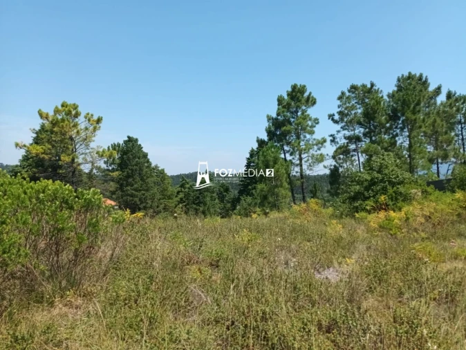 Terreno para Venda em Trouxemil e Torre de Vilela Foto 4