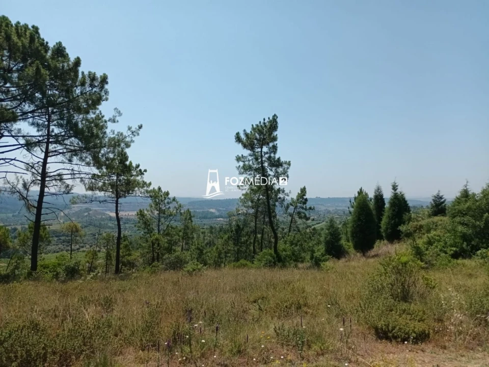 Terreno para Venda em Trouxemil e Torre de Vilela Foto 6