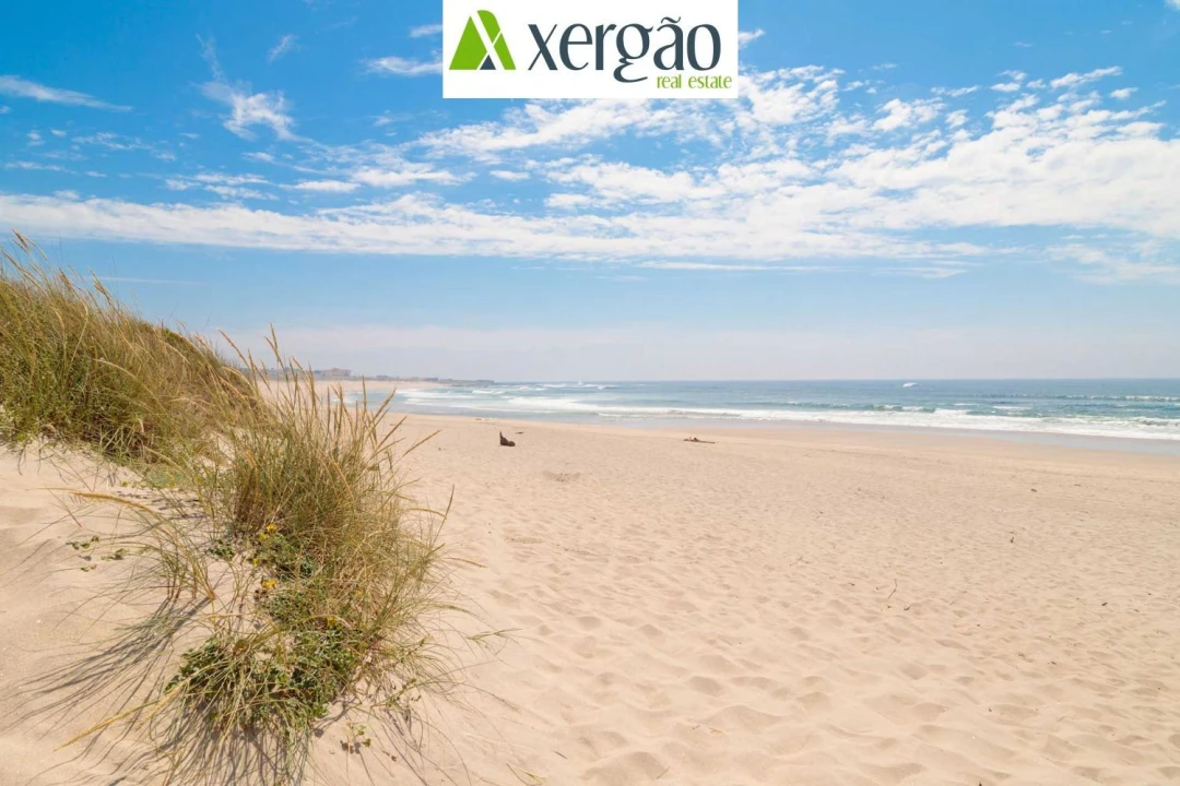 Apartamento T1 para Arrendamento em Vila Praia de Ancora Foto 19