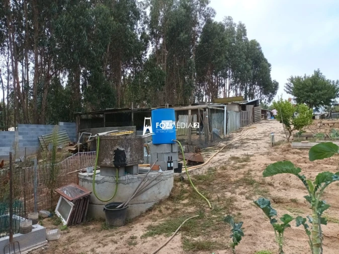 Terreno para Venda em Alhadas Foto 5