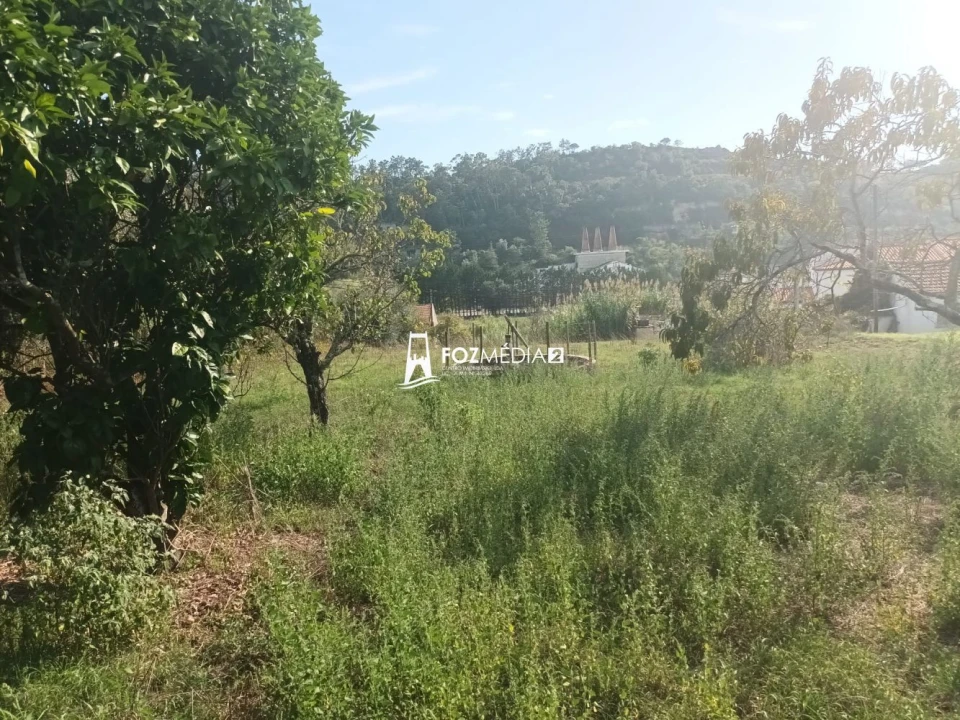 Terreno para Venda em Tavarede Foto 6