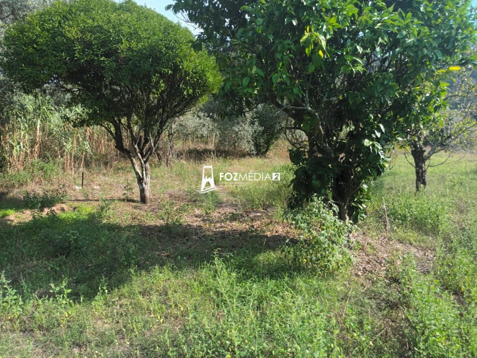 Terreno para Venda em Tavarede Foto 2