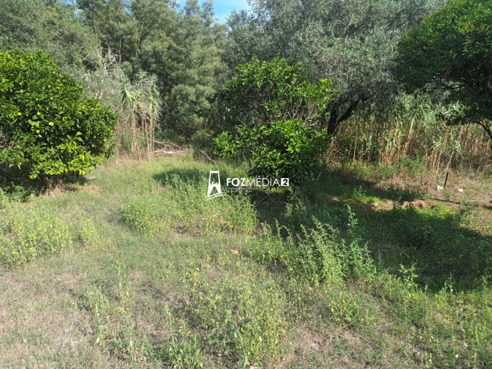 Terreno para Venda em Tavarede Foto 8