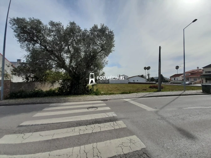 Terreno para Venda em Paião Foto 10