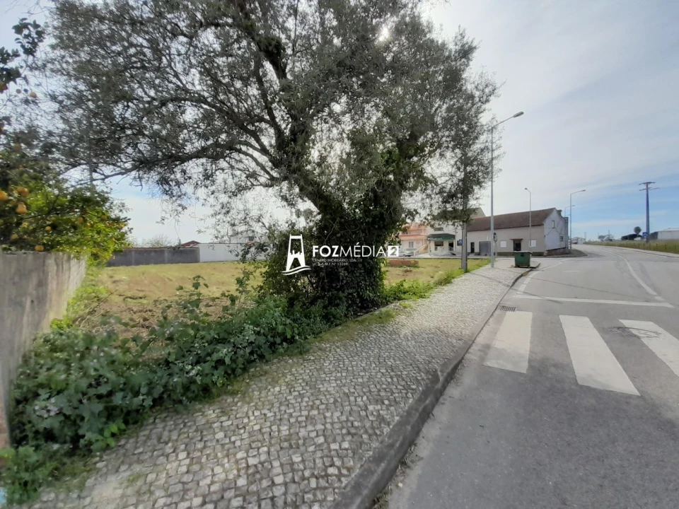 Terreno para Venda em Paião Foto 11