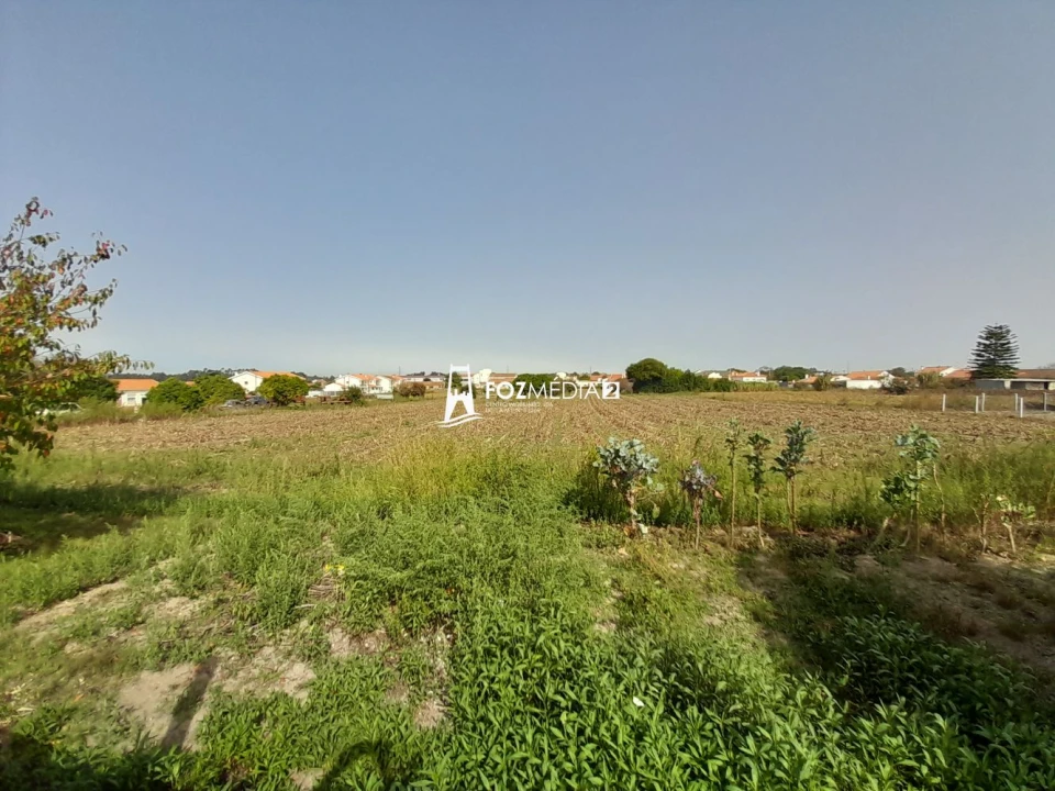 Terreno para Venda em Lavos Foto 6