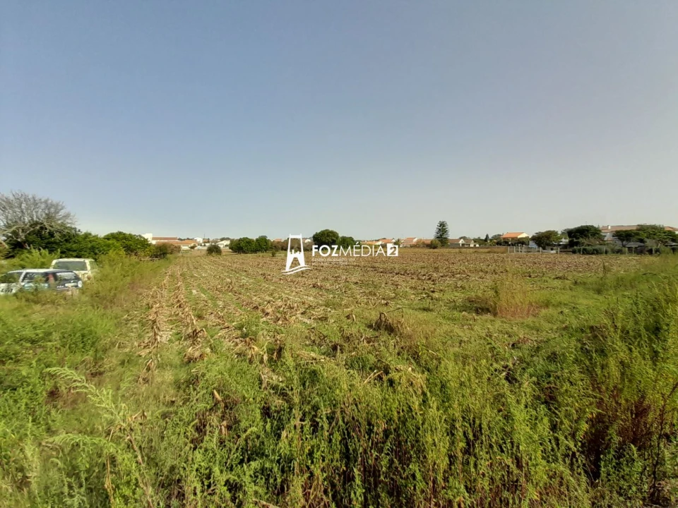 Terreno para Venda em Lavos Foto 7