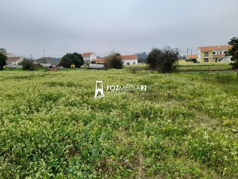 Terreno para Venda em Lavos Foto 3