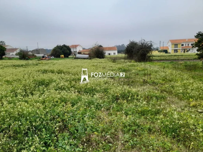 Terreno para Venda em Lavos Foto 3