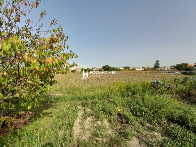 Terreno para Venda em Lavos Foto 2