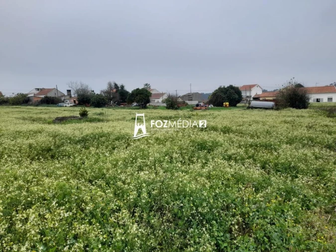 Terreno para Venda em Lavos Foto 12