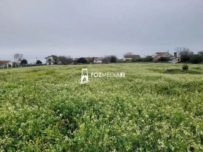 Terreno para Venda em Lavos Foto 9