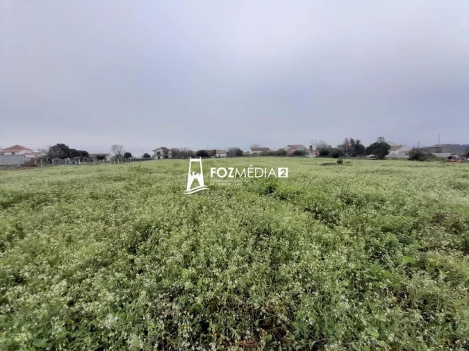 Terreno para Venda em Lavos Foto 13