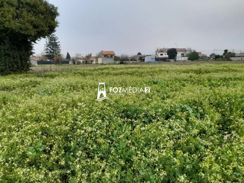 Terreno para Venda em Lavos Foto 8