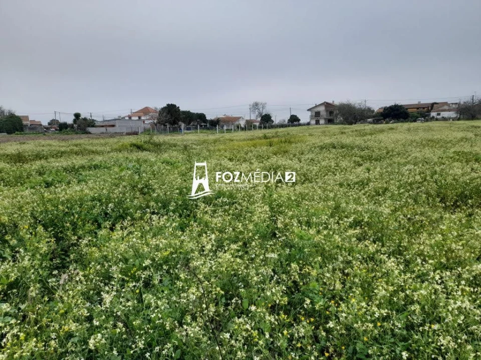 Terreno para Venda em Lavos Foto 10