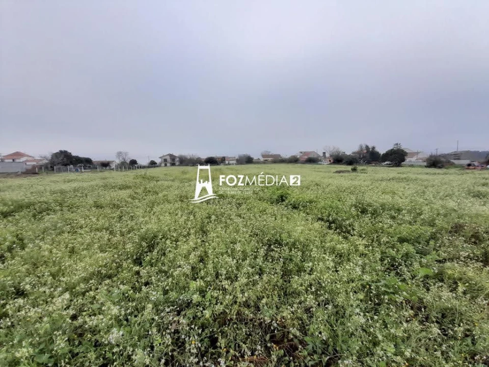 Terreno para Venda em Lavos Foto 13