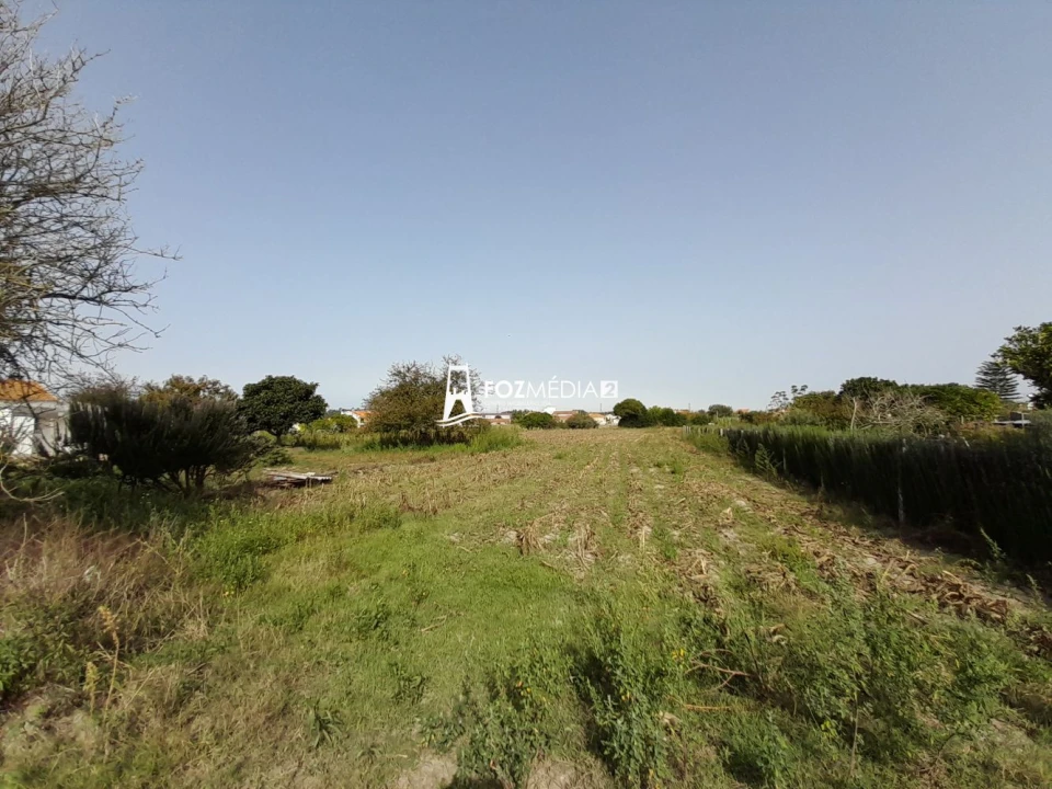 Terreno para Venda em Lavos Foto 8