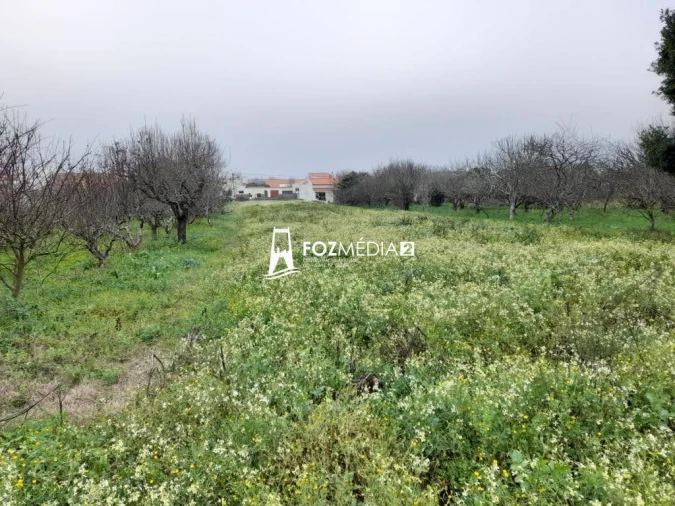Terreno para Venda em Lavos Foto 11