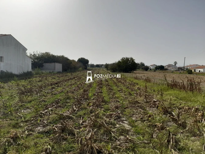 Terreno para Venda em Lavos Foto 6