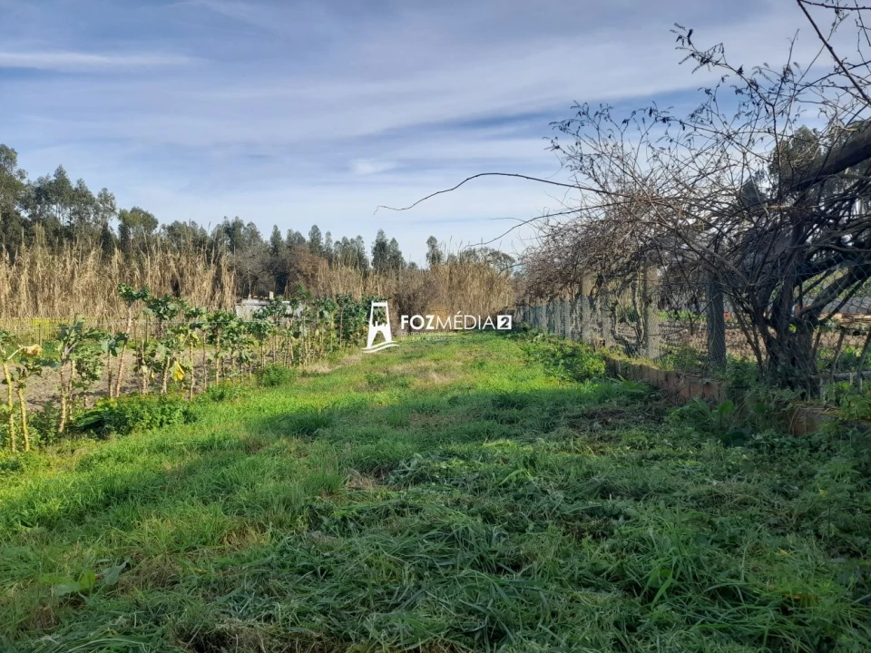 Moradia T2 para Venda em Paião Foto 5