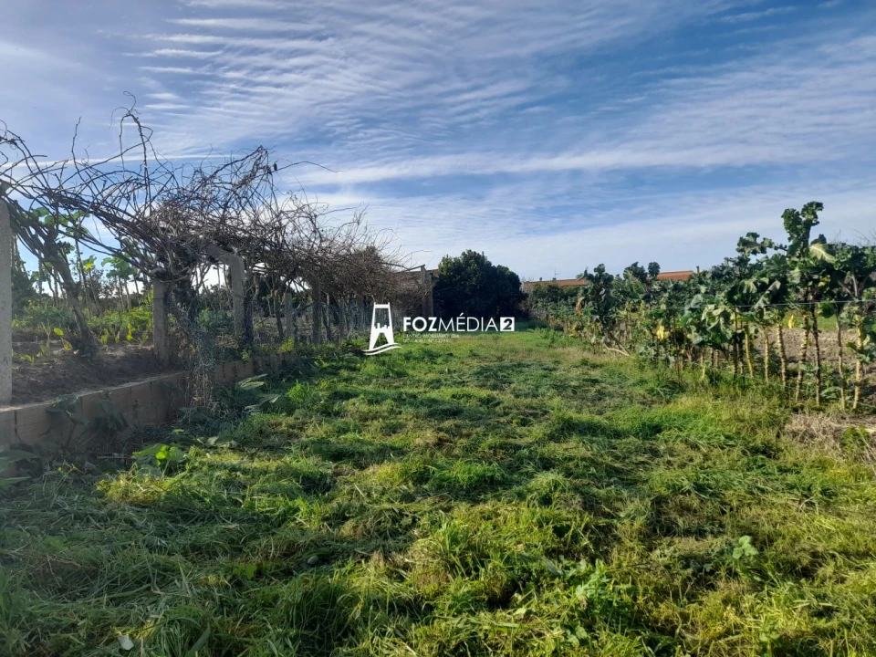 Moradia T2 para Venda em Paião Foto 6