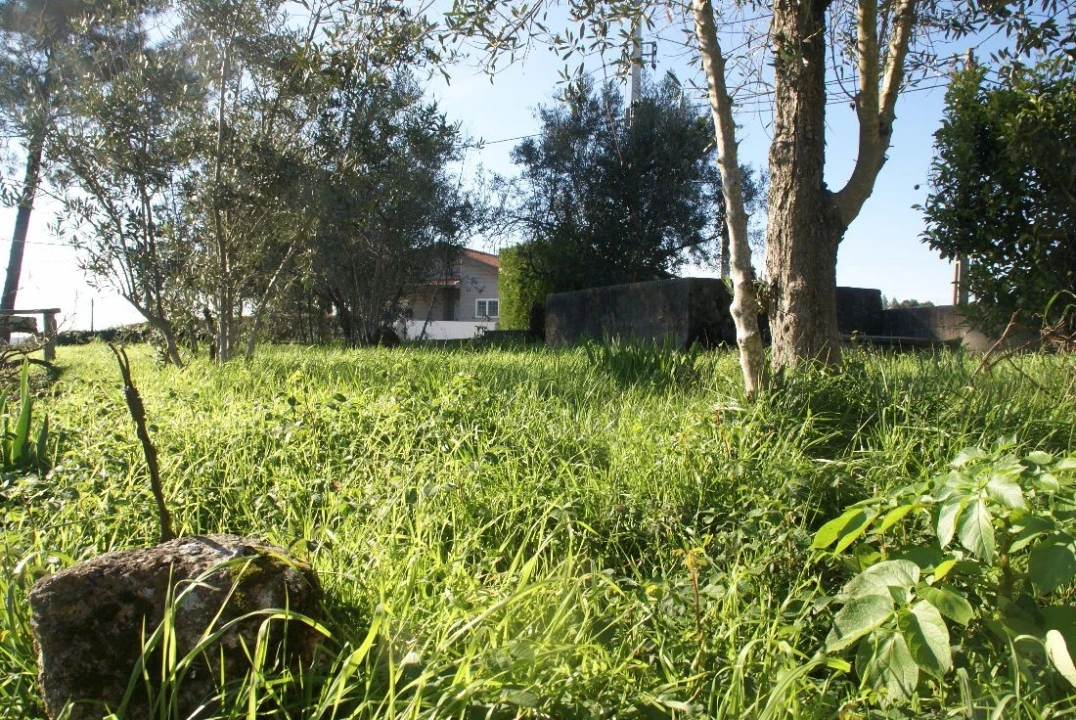 Moradia T2 para Venda em Penafiel Foto 9