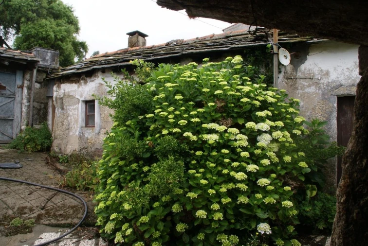 Moradia T2 para Venda em Penafiel Foto 4