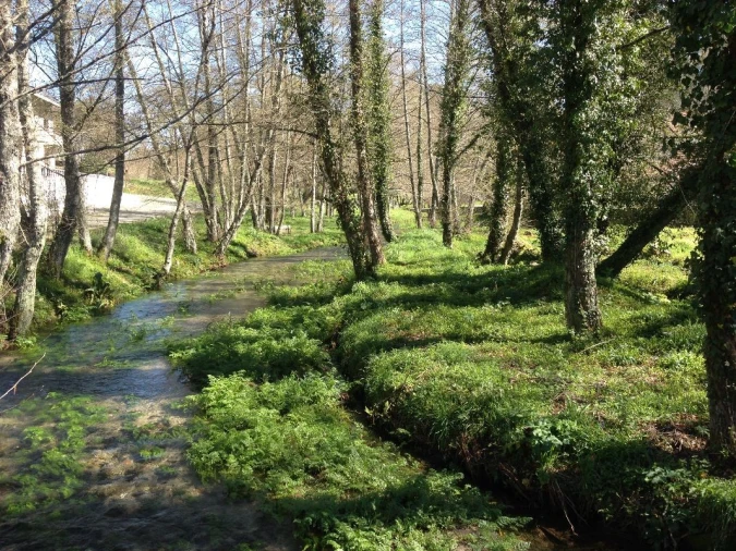 Moradia T2 para Venda em Monte Córdova Foto 23