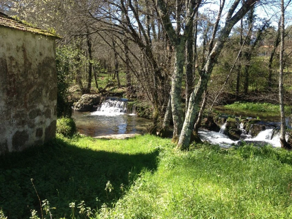 Moradia T2 para Venda em Monte Córdova Foto 9