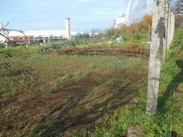 Terreno para Venda em Mafamude e Vilar do Paraíso