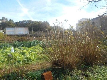 Terreno para Venda em Mafamude e Vilar do Paraíso