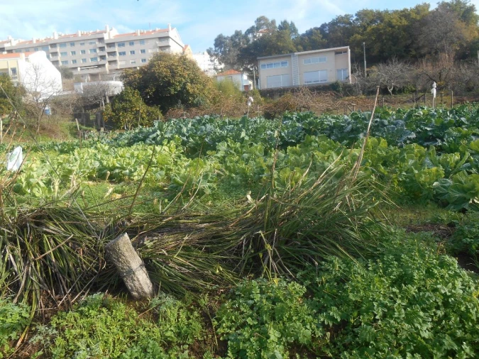 Terreno para Venda em Mafamude e Vilar do Paraíso Foto 2