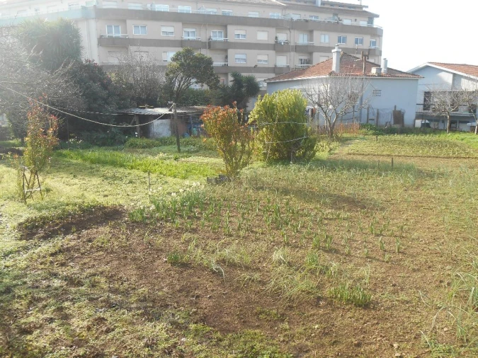 Terreno para Venda em Mafamude e Vilar do Paraíso Foto 6