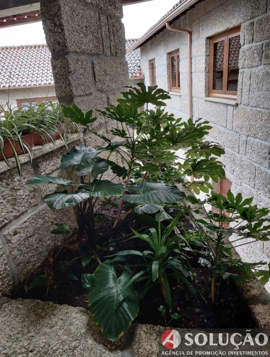 Quinta T3 para Venda em Vieira do Minho Foto 3