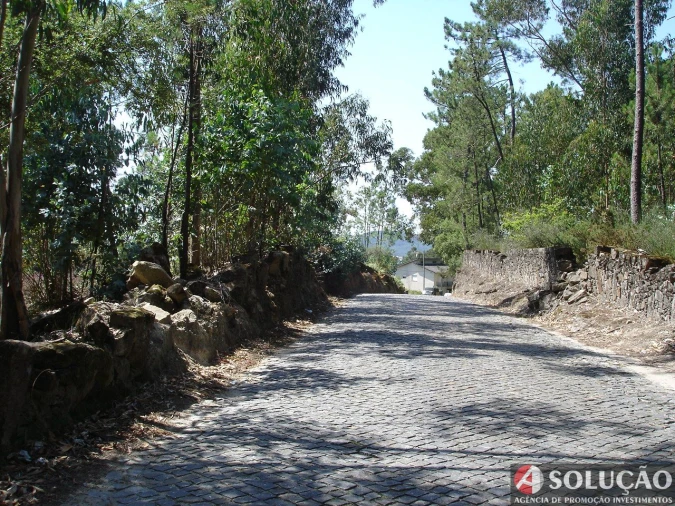 Terreno para Venda em Remelhe Foto 1