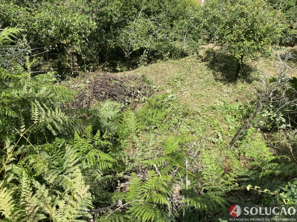 Moradia T3 para Venda em Roriz Foto 18