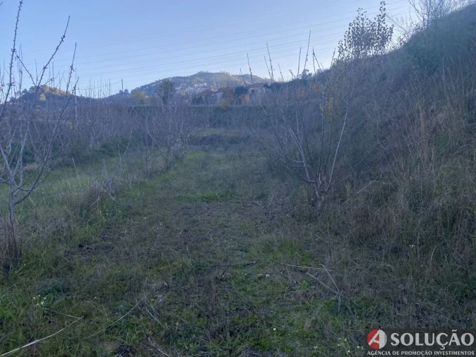 Quinta T10 para Venda em Resende Foto 9