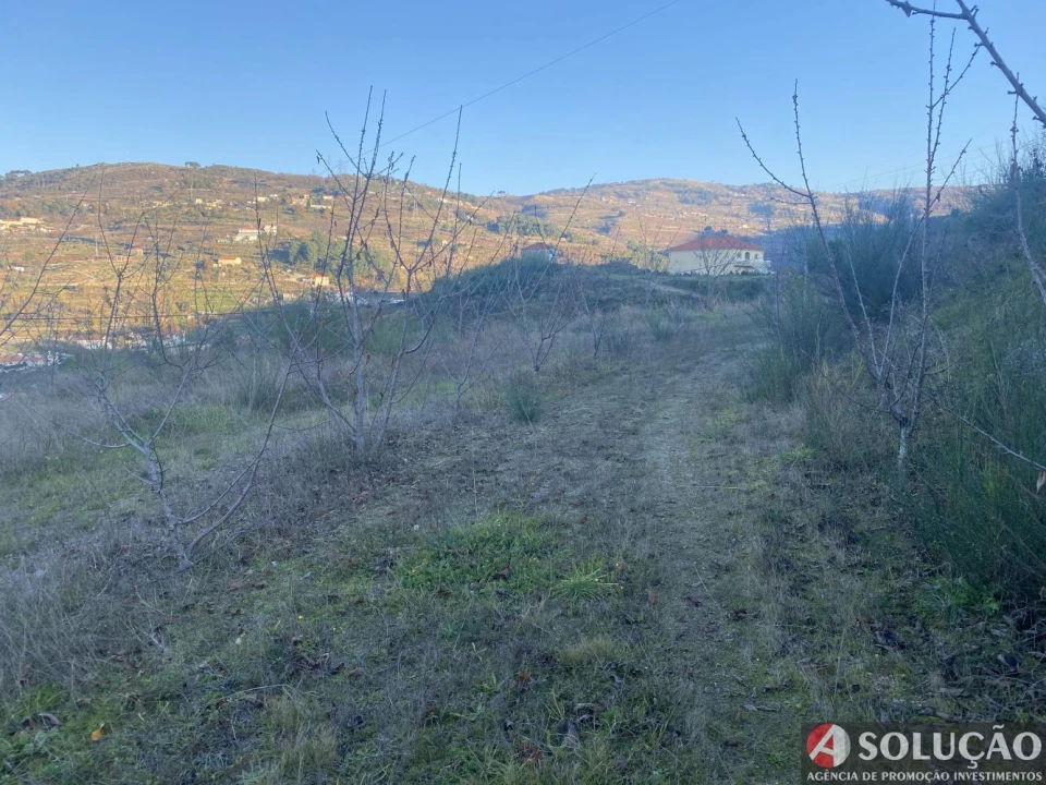 Quinta T10 para Venda em Resende Foto 8