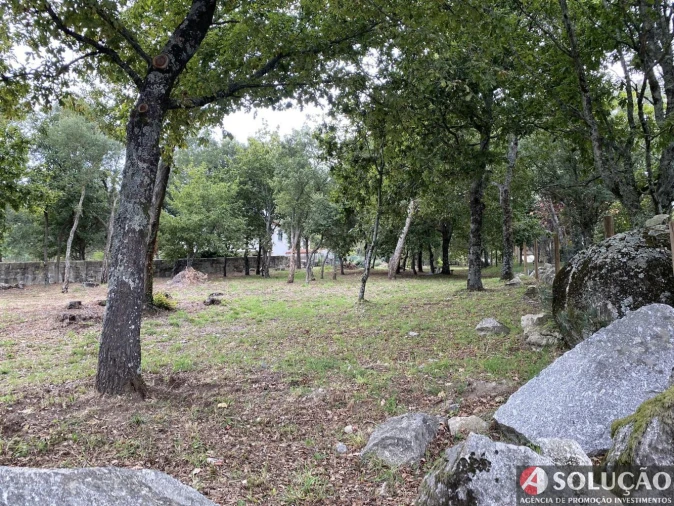 Terreno para Venda em Santo Tirso, Couto (Santa Cristina e São Miguel) e Burgães Foto 3