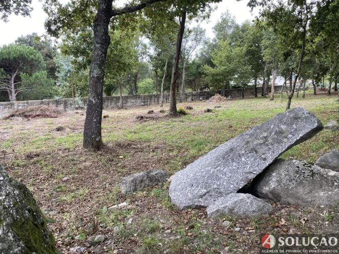 Terreno para Venda em Santo Tirso, Couto (Santa Cristina e São Miguel) e Burgães Foto 1