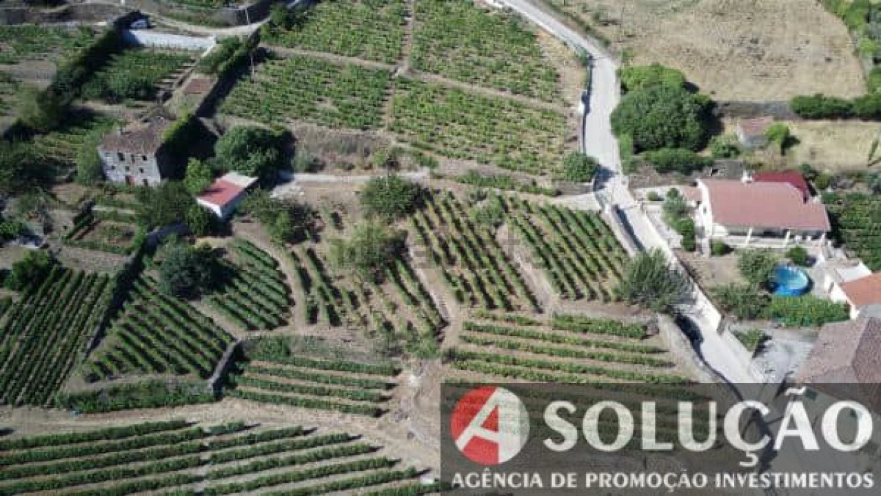 Terreno para Venda em Souto Maior Foto 1