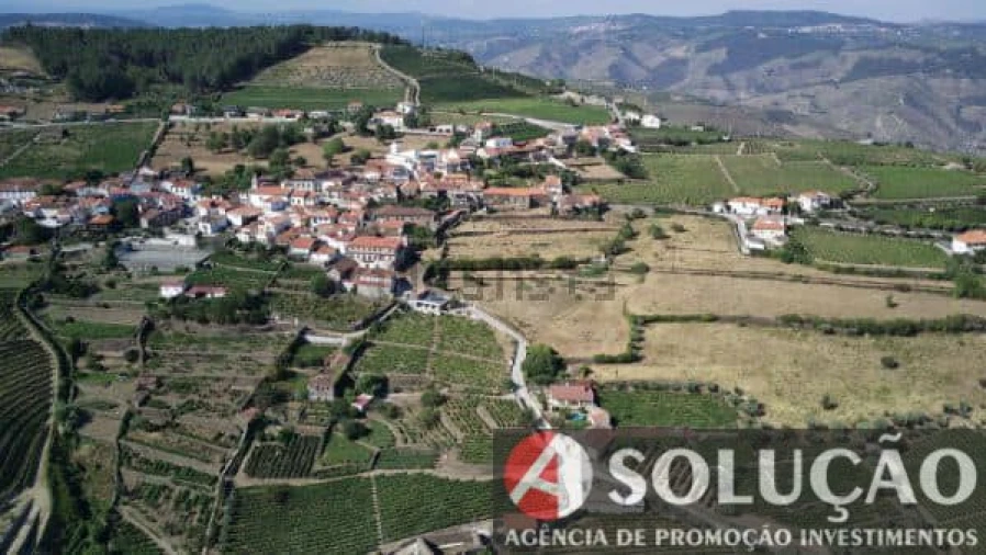 Terreno para Venda em Souto Maior Foto 3